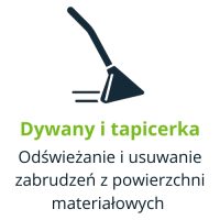 wodny-ozon-mycie-czyszczenie-tapicerki-dywanu